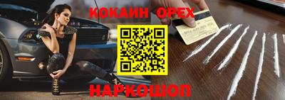 твердый Кингисепп