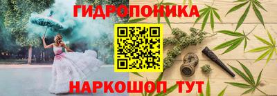 спиды Кимры