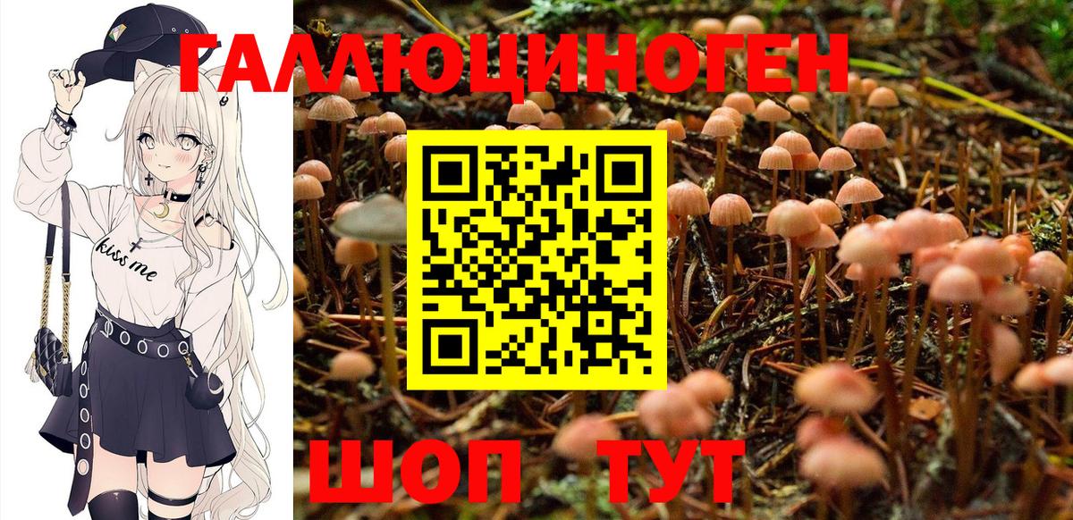 Кубинка  Псилоцибиновые грибы Psilocybine cubensis  Галлюциногенные грибы Psilocybe  Вход с VPN 