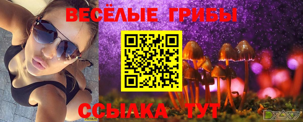 Псилоцибиновые грибы мицелий Кубинка